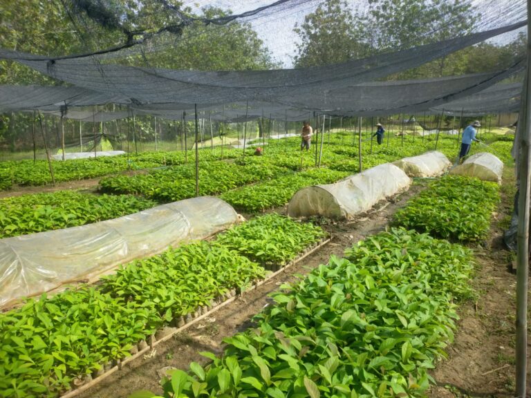 WhatsApp-Image-2025-09-13-at-18.15.57-2