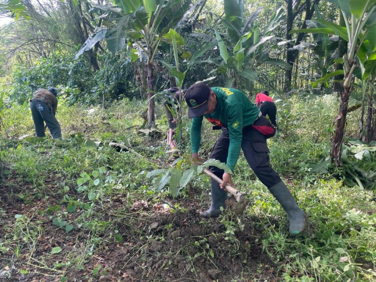 WhatsApp-Image-2025-10-03-at-08.51.22