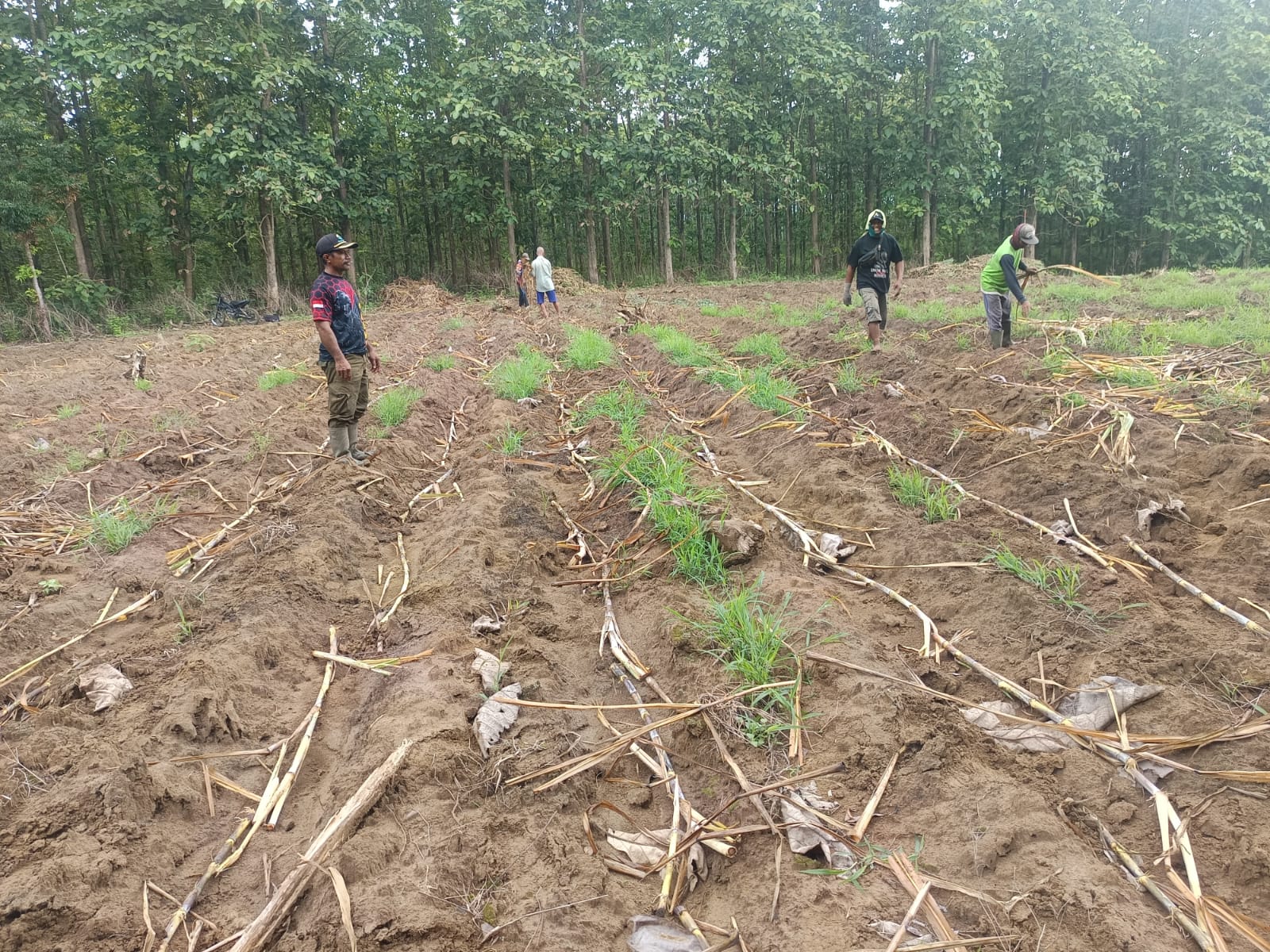 WhatsApp-Image-2025-10-28-at-09.32.35-1