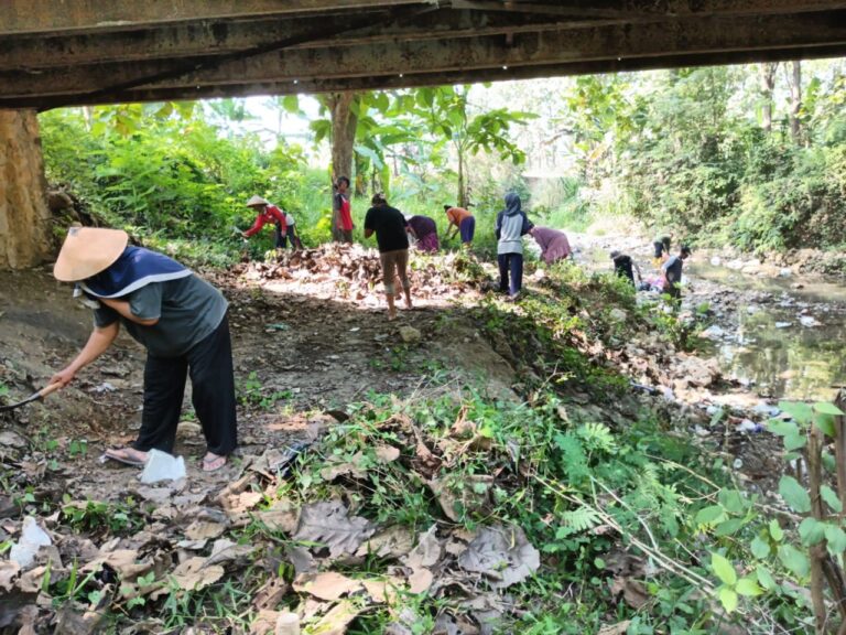 wmremove-transformed2