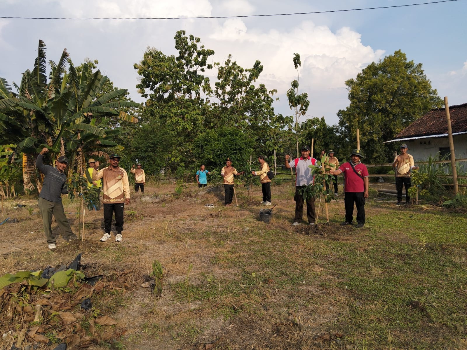 wmremove-transformed3