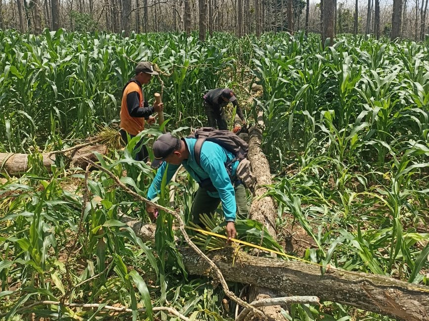 WhatsApp-Image-2025-11-10-at-11.29.22