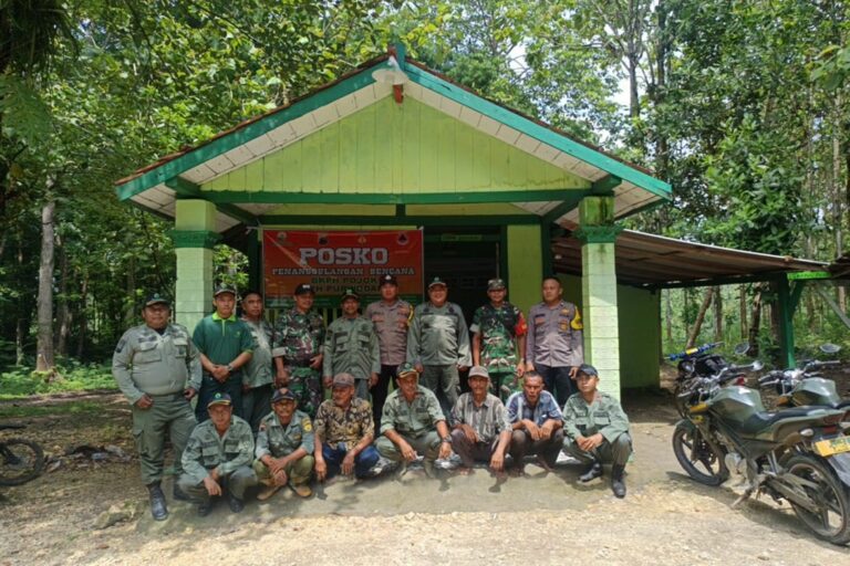 wmremove-transformed11-1