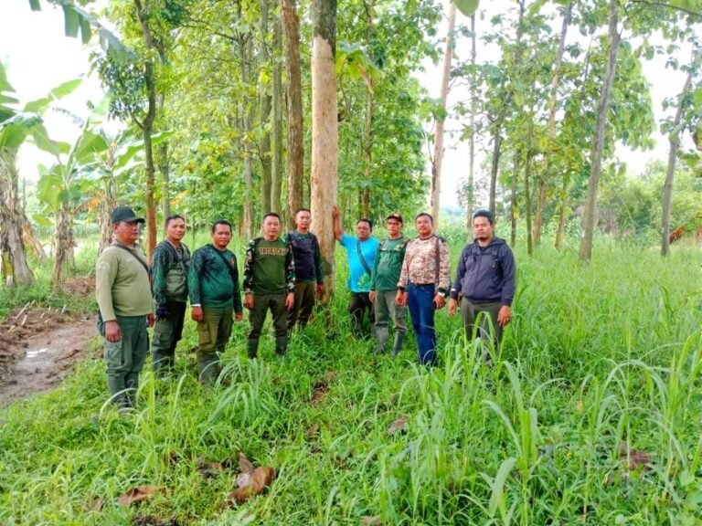 9a76289d-d36f-474a-96c6-2499b9f93124