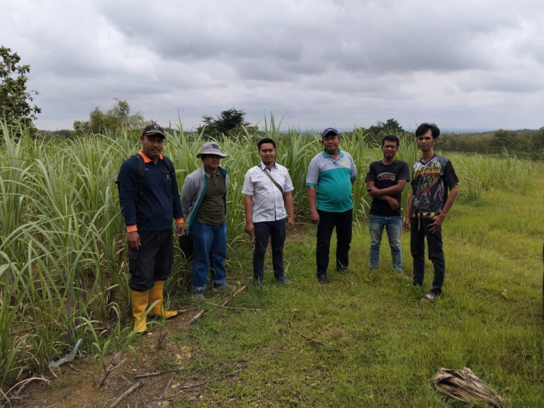 WhatsApp-Image-2026-02-23-at-12.40.4811