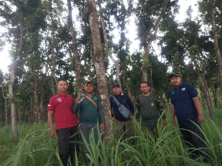 wmremove-transformed39-2