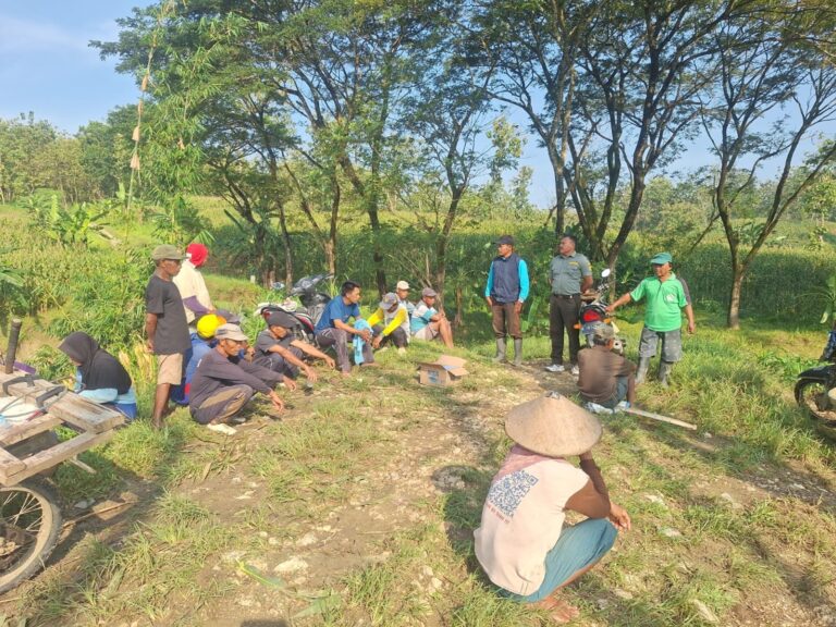 wmremove-transformed